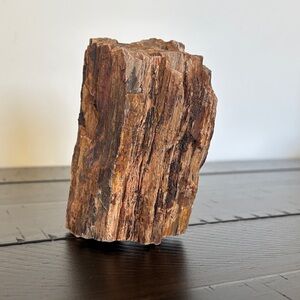 Authentic Petrified Wood Art Piece